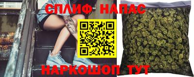 гашик Кунгур