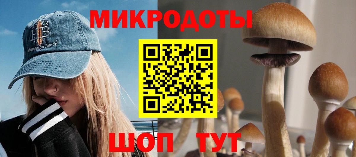 Кашира  Галлюциногенные грибы Psilocybe  Вход с VPN 