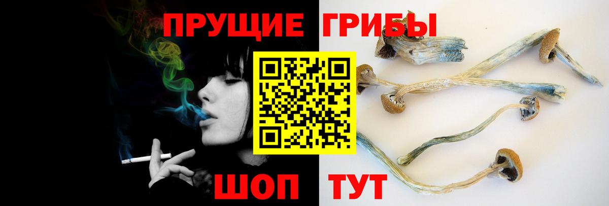 Псилоцибиновые грибы MAGIC MUSHROOMS Кашира